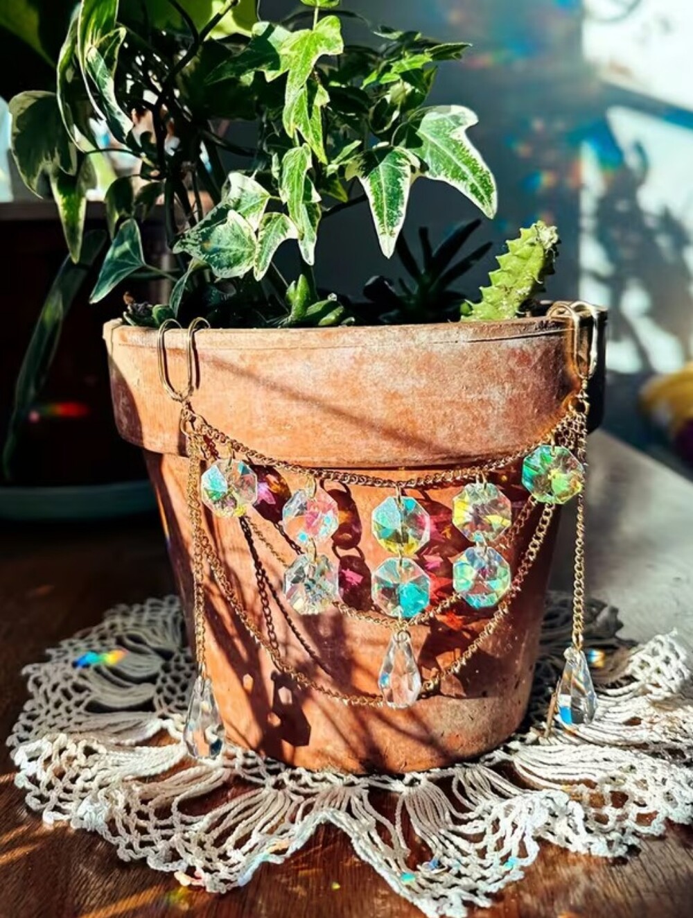Plant Bling - Picture 3 of 6